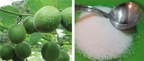 Ло Хан Го (плод архата)