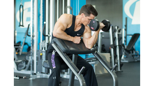 Прием углеводов и карнитина помогает увеличить выносливость